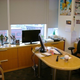 Illustration for article titled Work and Play: A Peek Inside the Lives of Gamings Insiders